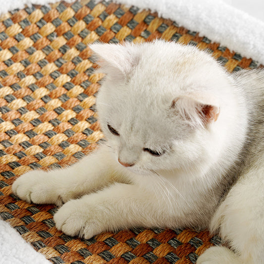 Oval wear-resistant cat scratching board